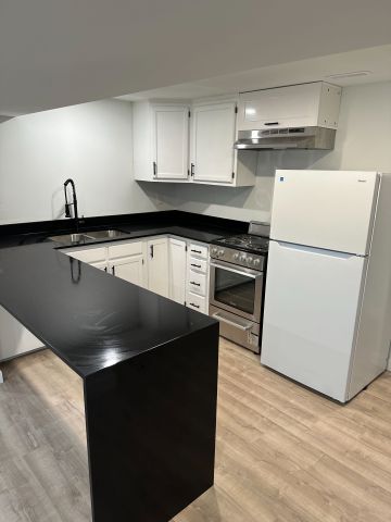 For Lease - 90 Commercial Street Unit# LOWER, Welland, Ontario - Photo 5