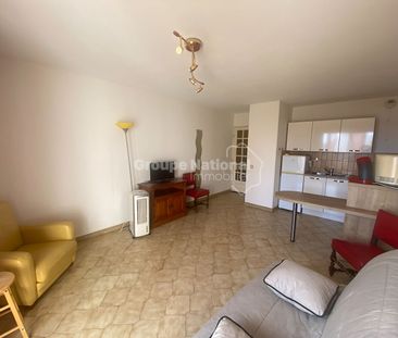 Location Appartement 1 pièce 26m² - Photo 4