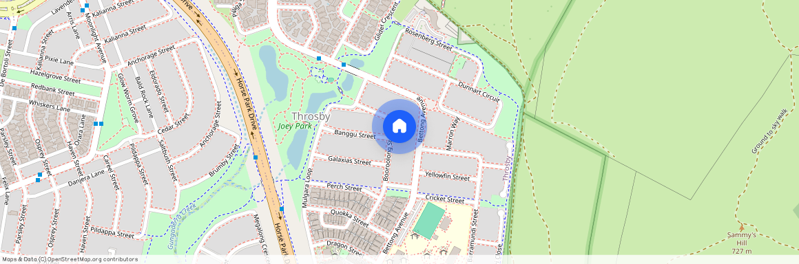 32 Booroolong Street, Throsby ACT 2914