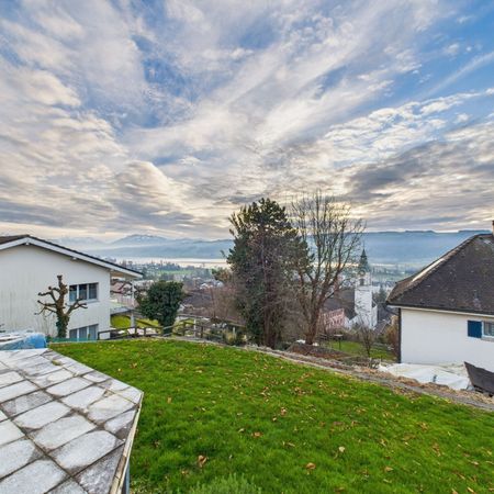 Newly renovated 1-room apartment with mountain view in Hitzkirch - Photo 4