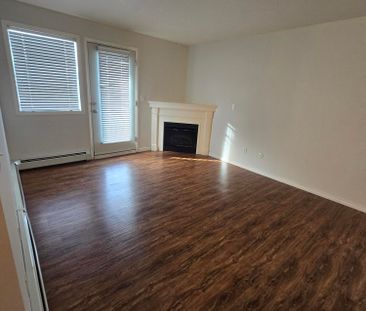 2 bedroom 1 bathroom condo UTILITIES INCLUDED - Photo 4