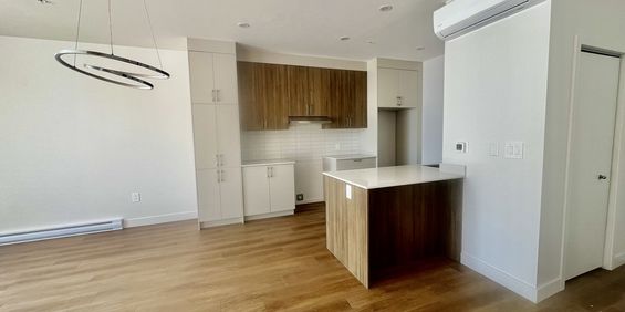 3 1/2 Immeuble Luxueux Avec Ascenseur - Photo 3