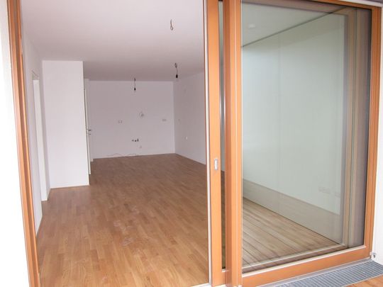 Schöne Wohnung mit Terrasse zu vermieten - Photo 1