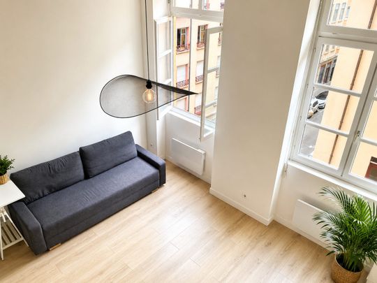 Location Appartement 1 pièce 43m² LYON 4ème - Photo 1