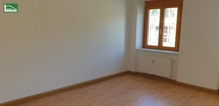 Unbefristete 4-Zimmer-Wohnung in absolut ruhiger Grünlage! - Foto 5