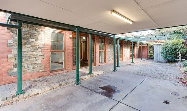 19 Munks Place, North Adelaide SA 5006 - House For Rent | Domain - Photo 1