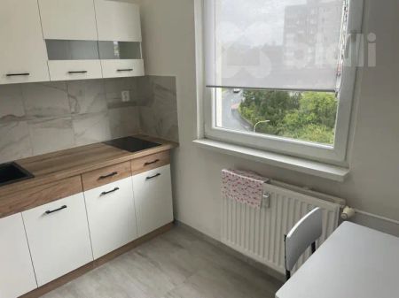 Pronájem bytu 1+1 v České Lípě - Fotografie 4