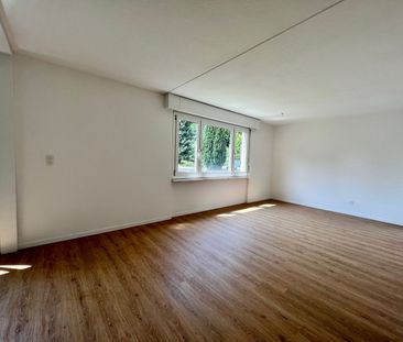 Rent a 3 ½ rooms apartment in Effretikon - Photo 5