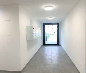 1-Zimmerwohnung mit Loggia und sehr guter Infrastruktur nahe der Do... - Photo 6