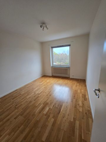 Växjögatan, Helsingborg - Foto 5