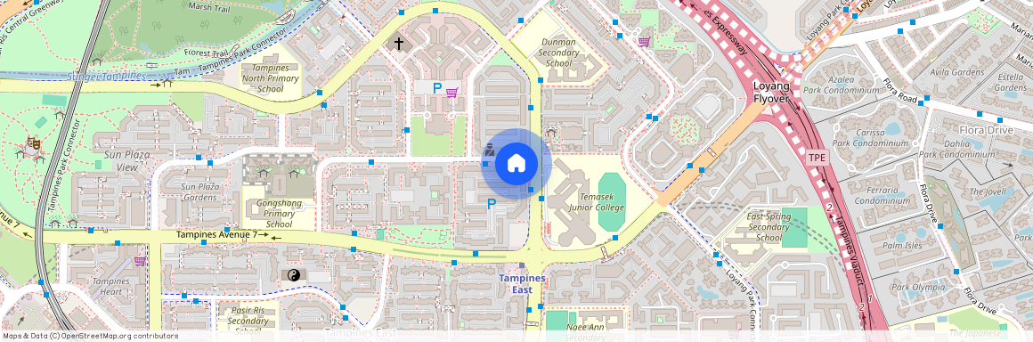 460 Tampines Street 42 (520460), Singapore
