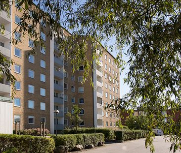 Professorsgatan 4B, Hermodsdal - Photo 6