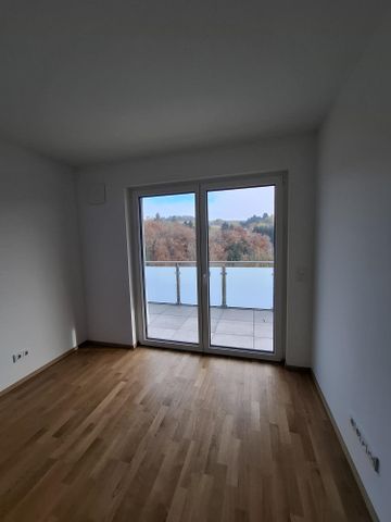 Rollstuhlgerechte 2-Zimmer-Neubauwohnung in Freudenburg - nur mit WBS! - Photo 3