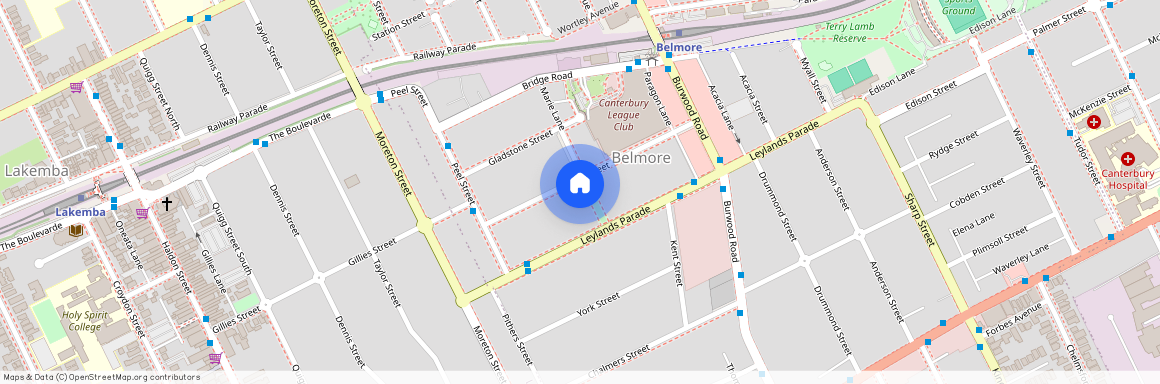 38 Collins Street, Belmore 2192, New South Wales