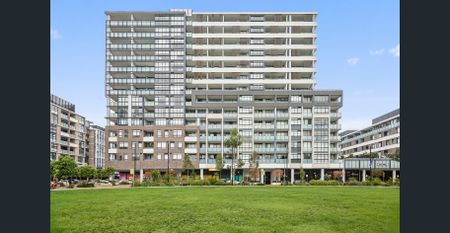 Spacious, Sunlit Abode - Photo 5