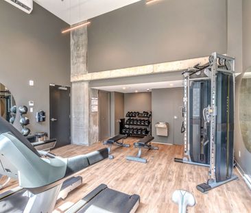 1211 rue Berri, Montréal, QC - Photo 3