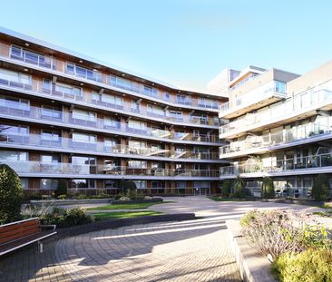 Booterstown Wood, Booterstown, Co. Dublin, A94 RK83 - Photo 4