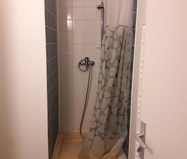 Location Appartement 1 pièce 18m² TOULOUSE 31000 - Photo 2