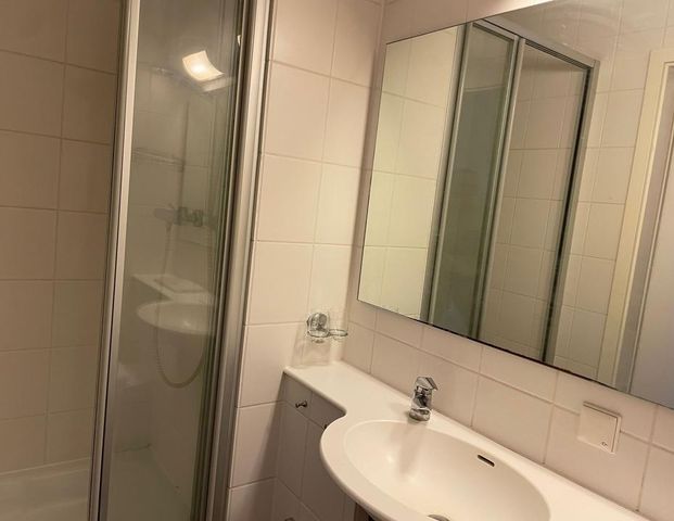 Möbliertes Apartment mit Duschbad und kleiner Küche - Photo 1