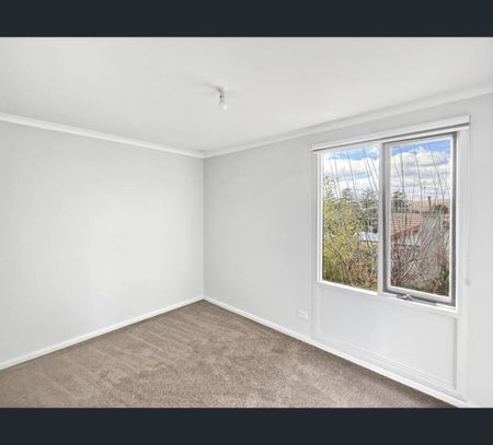 4 Miloo Street, Cooma, NSW 2630 - Photo 4