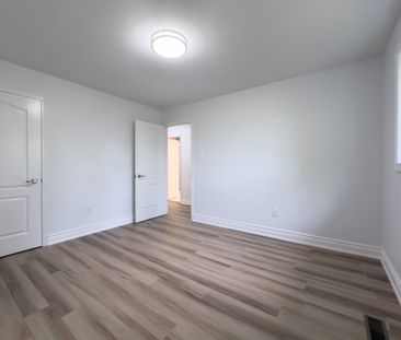 For Lease - 59 Springer Drive, Richmond Hill, Ontario - Photo 5