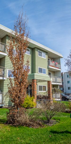 Central Updated 2 Bed – Avail Now - Photo 1
