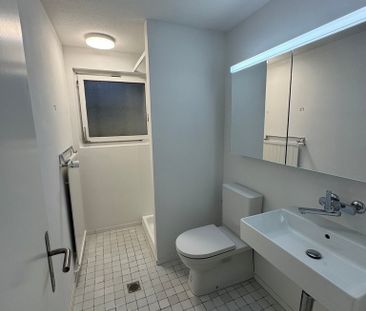 Frisch saniertes 4.5-Zimmer-Einfamilienhaus mit traumhafter Seesicht - Photo 5