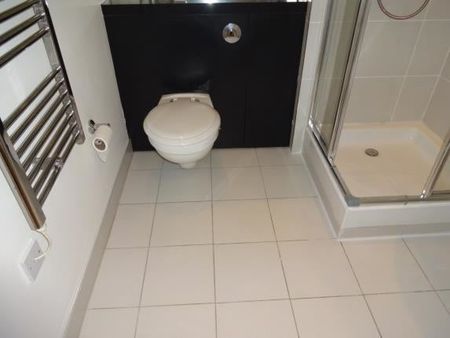 Studio Flat, Ryland Street, B16 - Photo 4
