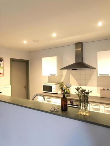 Ruim gelijkvloers appartement met terras en tuin nabij UZ Gent - Foto 5