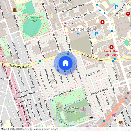 19 Northwood Street, NSW 2050, Camperdown