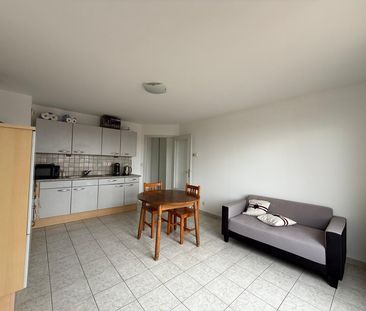 Location Appartement 2 pièces 39m² ST LOUIS 68300 - Photo 1