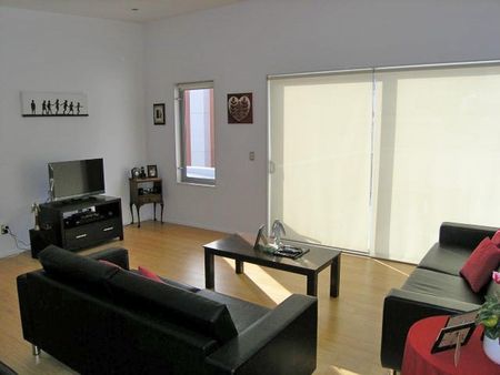 The Boundary - Photo 4