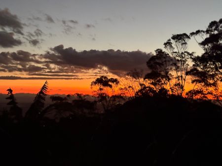 Tamborine Mountain - Photo 2