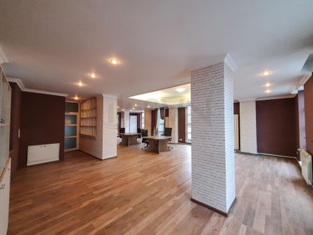 Vila de inchiriat Floreasca - Photo 4