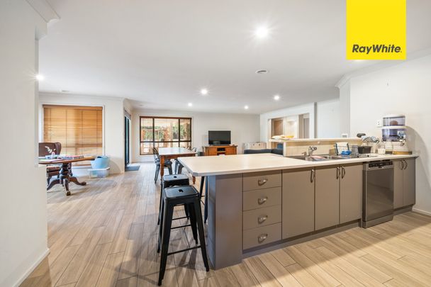 13 Olary Street, Amaroo ACT 2914 - House For Rent | Domain - Photo 1