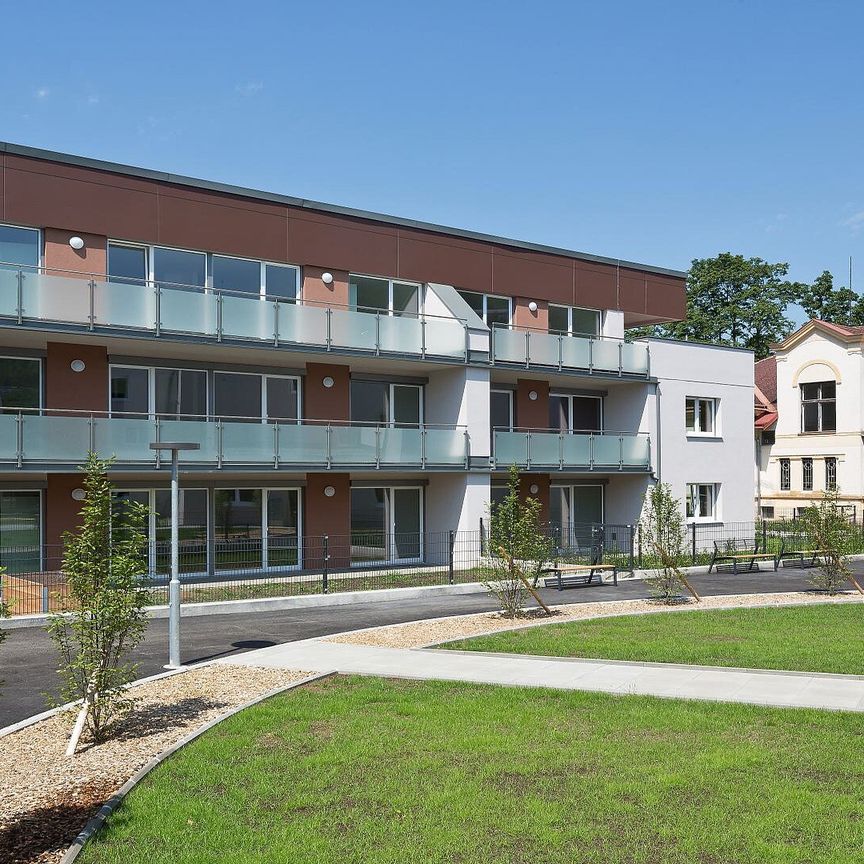 SCHEIBBS XX/2 - Photo 1