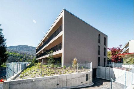 Bright 2.5 room apartment with large terrace - Photo 5