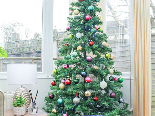 Bramdean Crescent Room 4 - Photo 1