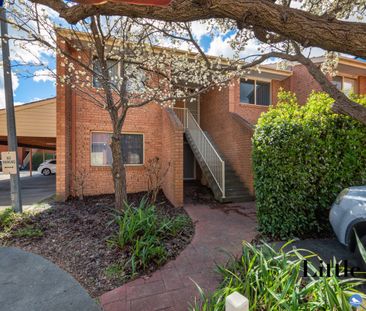 74b/12 Albermarle Place, Phillip ACT 2606 - Apartment For Rent | Do... - Photo 6