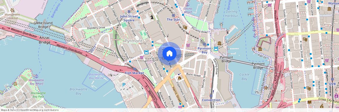 113 Pyrmont Street, Pyrmont 2009, New South Wales