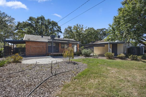 Discover Downer: Where Serene Suburban Living Meets Urban Convenience! - Photo 1