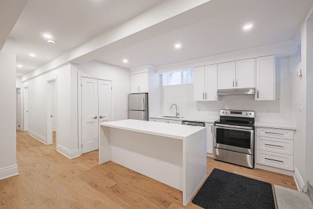 For Lease - 253 Pape Avenue Unit# Lower, Toronto, Ontario - Photo 2