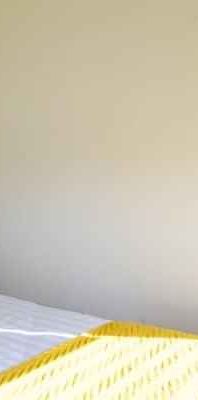 Studio Apartment - Photo 1