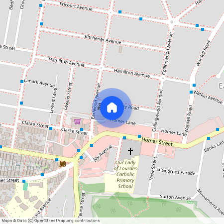 20 Coney Road, 2206, Earlwood