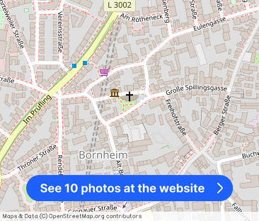 Tolle helle Wohnung mit riesigen Balkon in ruhiger Lage Bornheims - Photo 1