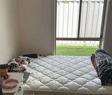 South Morang - Photo 5