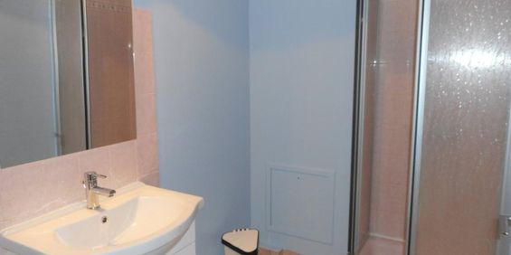 Location Appartement 1 pièce 27m² BLOIS 41000 - Photo 3
