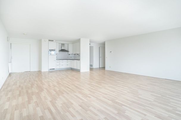 Appartement te huur: Prins Willem-Alexanderweg 193 2595 BT Den Haag - Foto 1