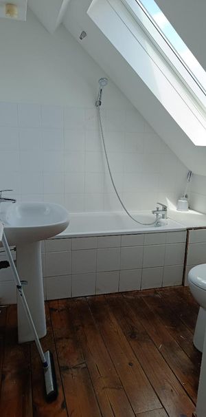 Location Appartement 1 pièce TEMPLEUVE EN PEVELE 59242 - Photo 2