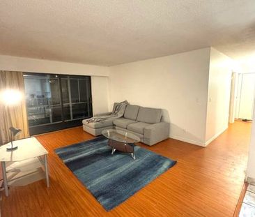 Unbeatable Richmond Center 2 bedroom 1.5 bathroom for rent - Photo 3